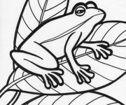 Coloriage Grenouille sur les Feuilles