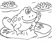 Coloriage et dessins gratuit Grenouille sur nénuphar à imprimer