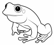 Coloriage Grenouille vecteur