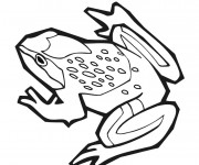 Coloriage Grenouille vecteur noir et blanc