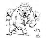 Coloriage et dessins gratuit Grizzly au crayon à imprimer