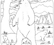 Coloriage et dessins gratuit Grizzly dans la forêt à imprimer