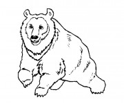 Coloriage et dessins gratuit Grizzly en marchant à imprimer