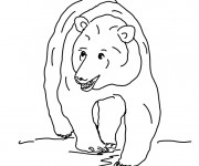Coloriage et dessins gratuit Grizzly simple à imprimer