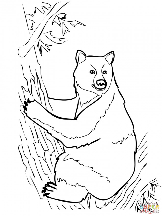 Coloriage et dessins gratuits Grizzly sur l'arbre à imprimer