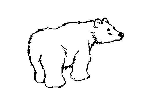 coloriage petit grizzly dessin gratuit a imprimer arbre automne