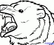 Coloriage Tête de Grizzly agité