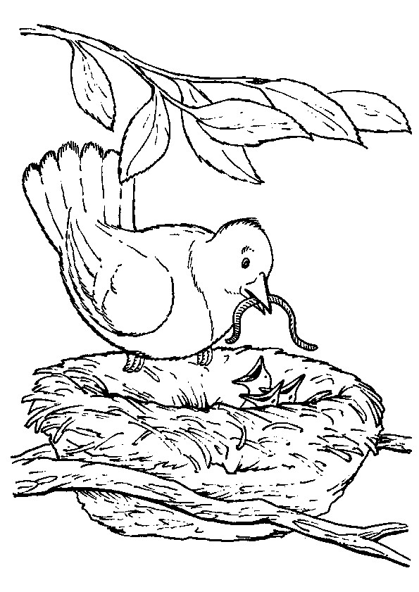 hirondelle 22