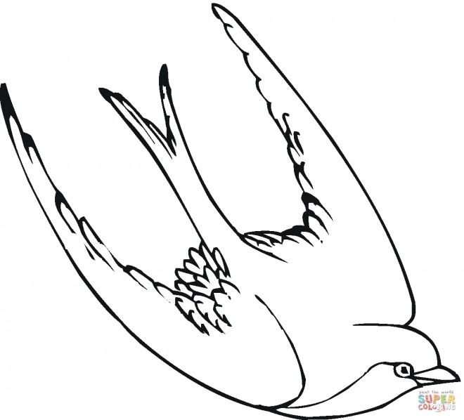 hirondelle 4