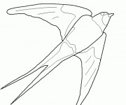 Coloriage et dessins gratuit Hirondelle vecteur à imprimer