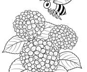 Coloriage Abeille survole la Hortensia