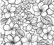 Coloriage Belle Hortensia