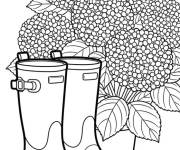 Coloriage Bottes et Hortensia