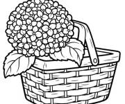 Coloriage Bouquet de fleur Hortensia dans le panier