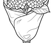 Coloriage Bouquet de Hortensia
