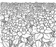 Coloriage Champ de Hortensia pour enfants