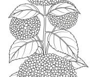 Coloriage Chat dort sous la Hortensia
