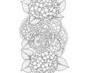 Coloriage Complexe zen d'Hortensia