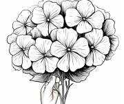 Coloriage Document de Hortensia