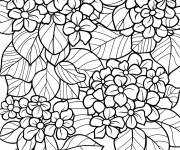 Coloriage Ensemble des fleurs Hortensia