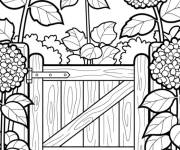 Coloriage Fleurs de Hortensia et la porte du jardin