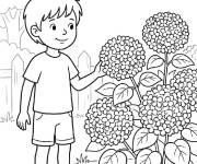 Coloriage Gar&ccedil;on devant la Hortensia