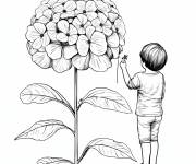 Coloriage Gar&ccedil;on face &agrave; face &agrave; la Hortensia