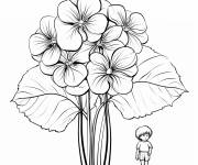 Coloriage Garcon si petit que la Hortensia