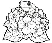 Coloriage et dessins gratuit Grenouille sur les Hortensia à imprimer