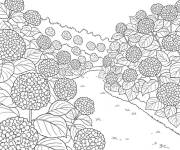 Coloriage Hortensia au bord de la rue