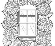 Coloriage Hortensia autour de la fen&ecirc;tre