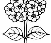 Coloriage Hortensia avec ses jolies fleurs