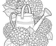 Coloriage Hortensia avec un arrosoir 
