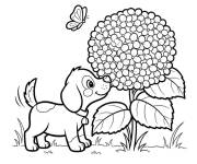 Coloriage Hortensia, chiot et papillon