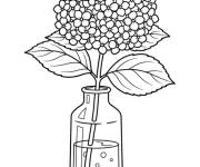 Coloriage Hortensia dans une bouteille