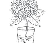 Coloriage et dessins gratuit Hortensia dans une vers à imprimer