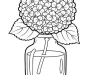 Coloriage et dessins gratuit Hortensia en bocal à imprimer