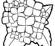 Coloriage et dessins gratuit Hortensia en noir à imprimer