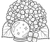 Coloriage Hortensia et boule de neige