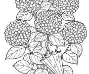Coloriage Hortensia et la parapluie