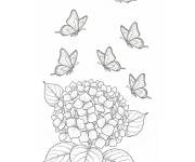 Coloriage Hortensia et papillons au-dessus