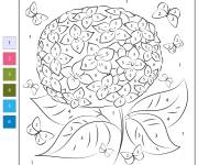 Coloriage Hortensia par num&eacute;ro de 1 &agrave; 6