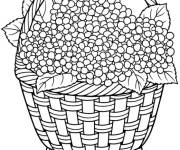 Coloriage Hortensia plac&eacute;e dans un panier