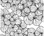 Coloriage Hortensia pour cmp