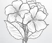 Coloriage Hortensia pour garcons
