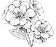 Coloriage Hortensia qui vibre