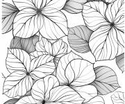 Coloriage Hortensia r&eacute;alistique