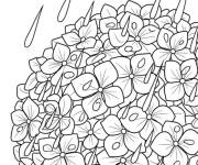 Coloriage Hortensia sous la pluie