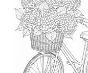 Coloriage Hortensia sur le panier du v&eacute;lo
