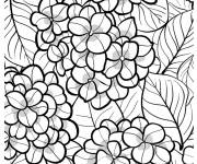 Coloriage Hortensia vue r&eacute;aliste